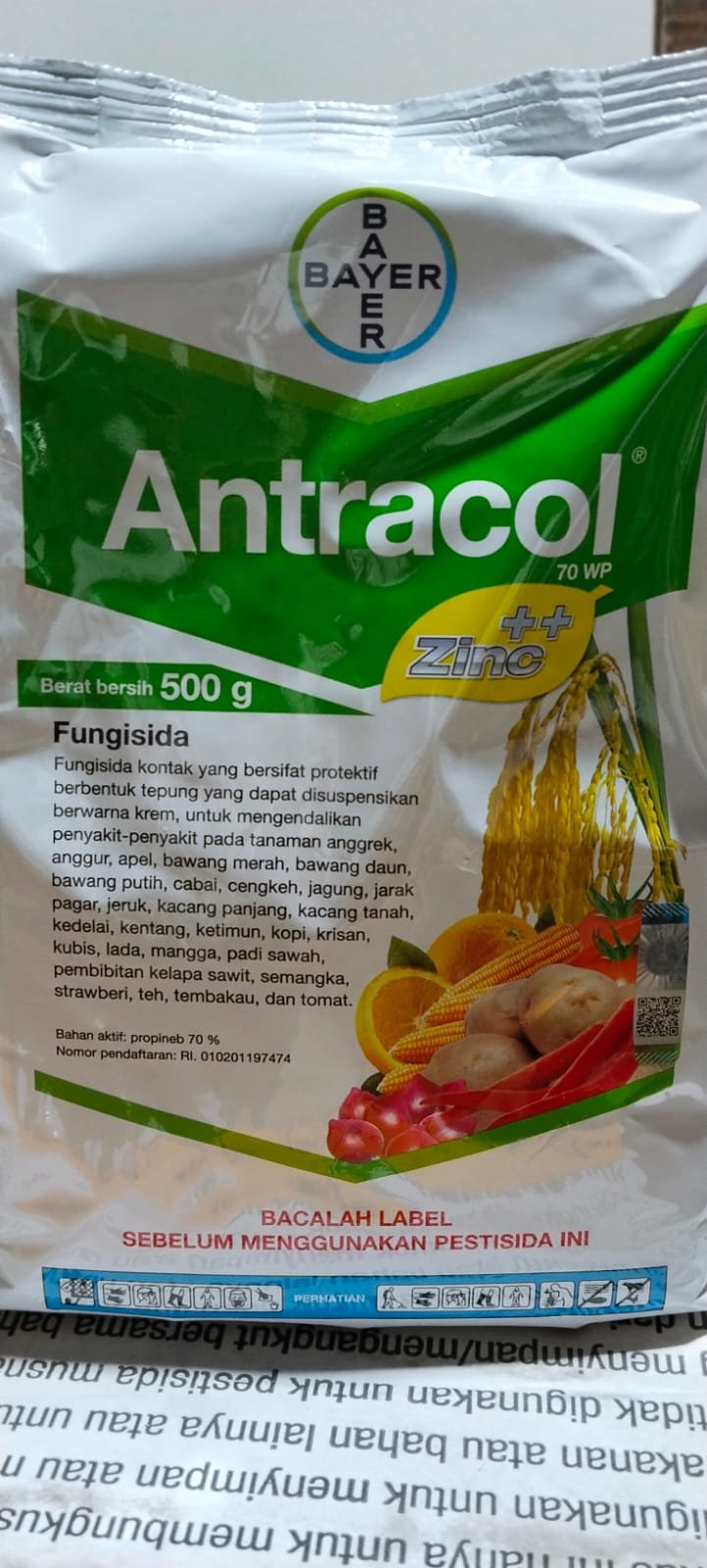 Antracol 70WP 500gr