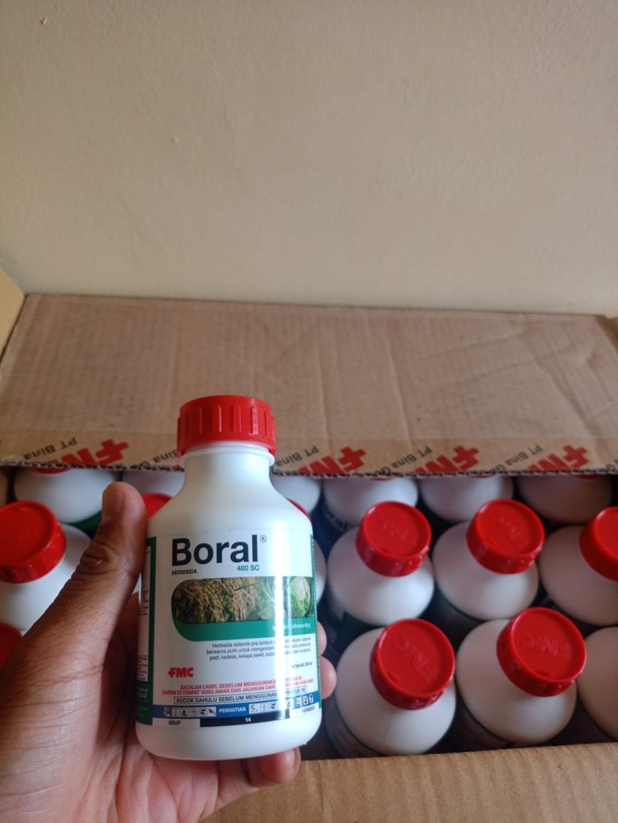 Boral 250ml